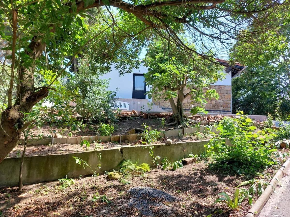 Getxo Garden Houses - The Suite מראה חיצוני תמונה